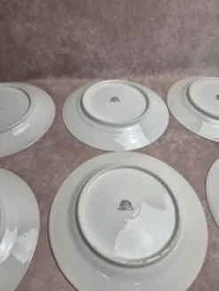 10 assiettes anciennes en porcelaine – Aux Lions de Faïence Paris – Xixe