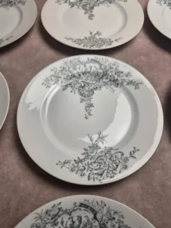10 assiettes anciennes en porcelaine – Aux Lions de Faïence Paris – Xixe