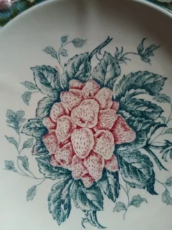 5 assiettes anciennes majolique Longchamp