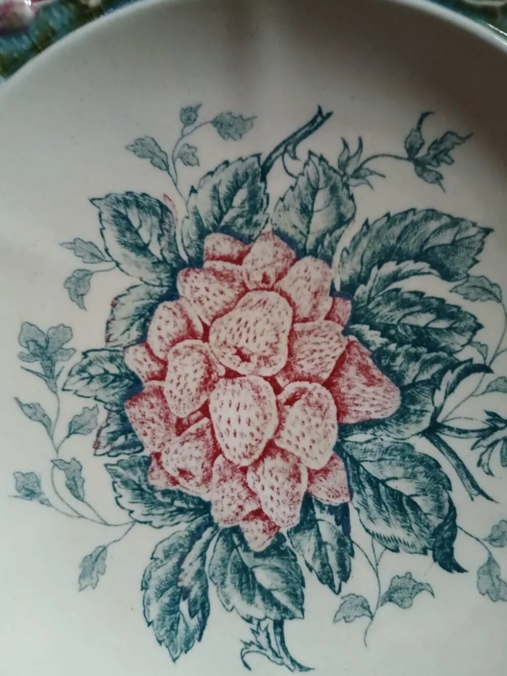 5 assiettes anciennes majolique Longchamp