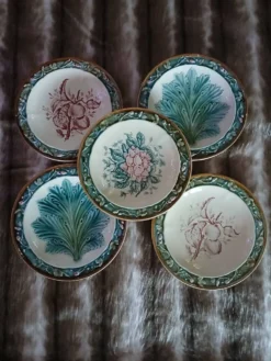 5 assiettes anciennes majolique Longchamp