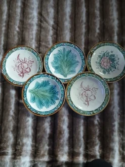 5 assiettes anciennes majolique Longchamp