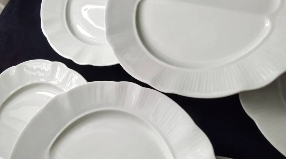 6 Assiettes à asperges en porcelaine Pillivuyt