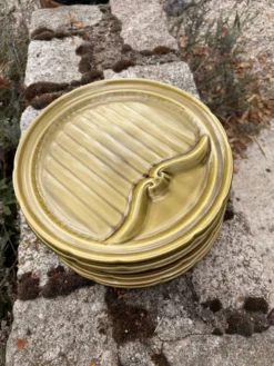 6 assiettes à asperges Gien