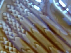 5 assiettes à asperges, 1 plat Sarreguemines L1 / 200106