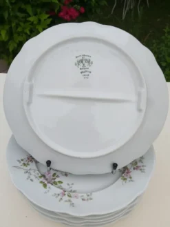 6 assiettes à compartiments en porcelaine Pillivuyt