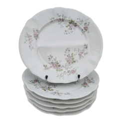 6 assiettes à compartiments en porcelaine Pillivuyt