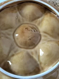 5 assiettes à coquillages Sarreguemines caramel, années 50