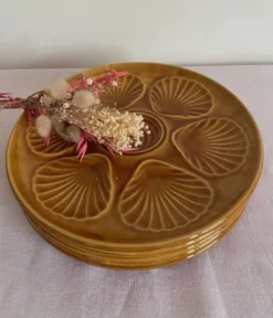 5 assiettes à coquillages vintage