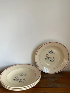 4 assiettes creuses