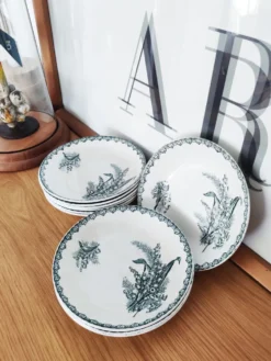 10 assiettes creuses