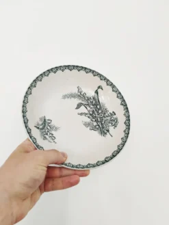 10 assiettes creuses
