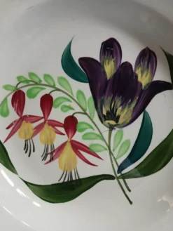 3 assiettes creuses anciennes St Amand et Hamage