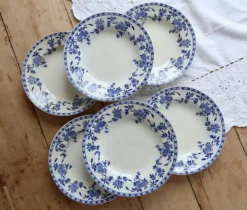 6 assiettes creuses anciennes porcelaine de Dresde bleu blanc
