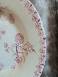 9 assiettes creuses anciennes dépareillées