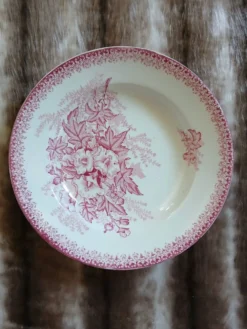 9 assiettes creuses anciennes dépareillées