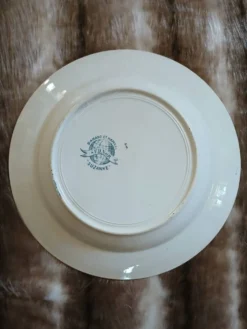 9 assiettes creuses anciennes dépareillées