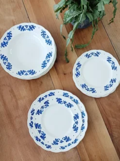 6 assiettes creuses Boch feuilles de chêne