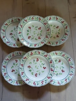 6 assiettes creuses Digoin et Sarreguemines