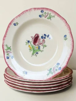 6 assiettes creuses en faïence de Gien modèle Lorraine