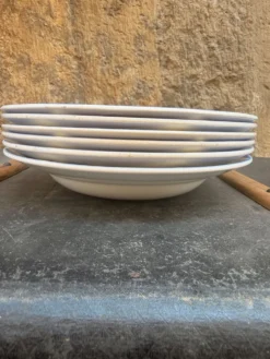 6 assiettes creuses en faïence Sarregemine Digoin