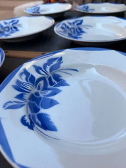6 assiettes creuses en faïence Sarregemine Digoin