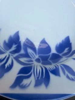 6 assiettes creuses en faïence Sarregemine Digoin