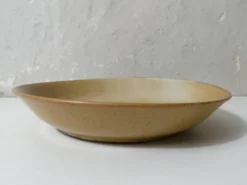6 assiettes creuses en grès Village vintage