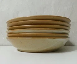 6 assiettes creuses en grès Village vintage