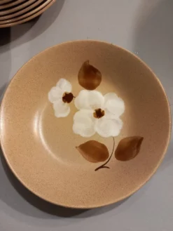 11 assiettes creuses en grès vintages
