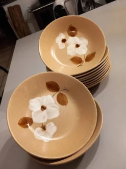 11 assiettes creuses en grès vintages