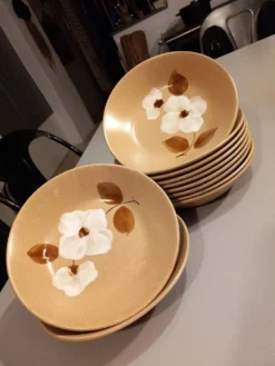 11 assiettes creuses en grès vintages