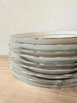 9 Assiettes creuses en porcelaine de limoge