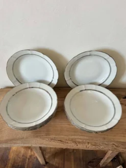 9 Assiettes creuses en porcelaine de limoge