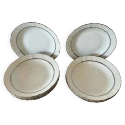 9 Assiettes creuses en porcelaine de limoge