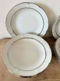 9 Assiettes creuses en porcelaine de limoge