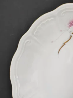 12 assiettes creuses en porcelaine Bavaria