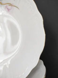 12 assiettes creuses en porcelaine Bavaria