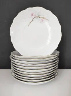 12 assiettes creuses en porcelaine Bavaria