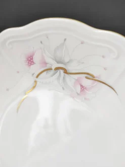 12 assiettes creuses en porcelaine Bavaria
