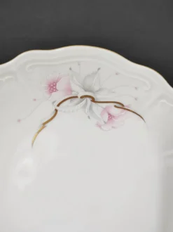 12 assiettes creuses en porcelaine Bavaria