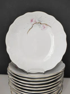12 assiettes creuses en porcelaine Bavaria