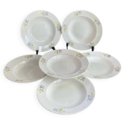 Assiettes creuses en porcelaine, Gien