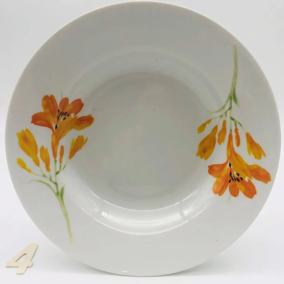 6 assiettes creuses en porcelaine « chriss g. collection »