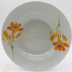 6 assiettes creuses en porcelaine « chriss g. collection »
