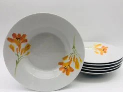6 assiettes creuses en porcelaine « chriss g. collection »