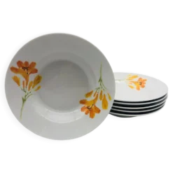 6 assiettes creuses en porcelaine « chriss g. collection »