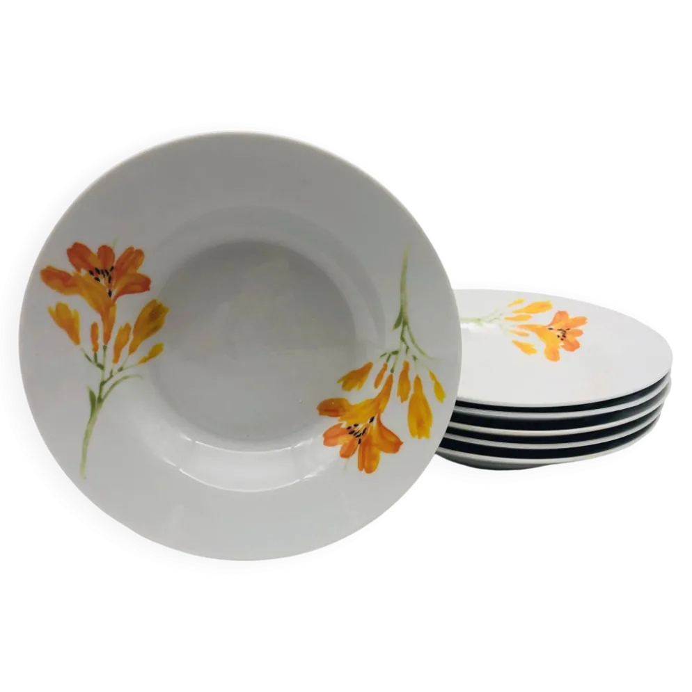 6 assiettes creuses en porcelaine « chriss g. collection »
