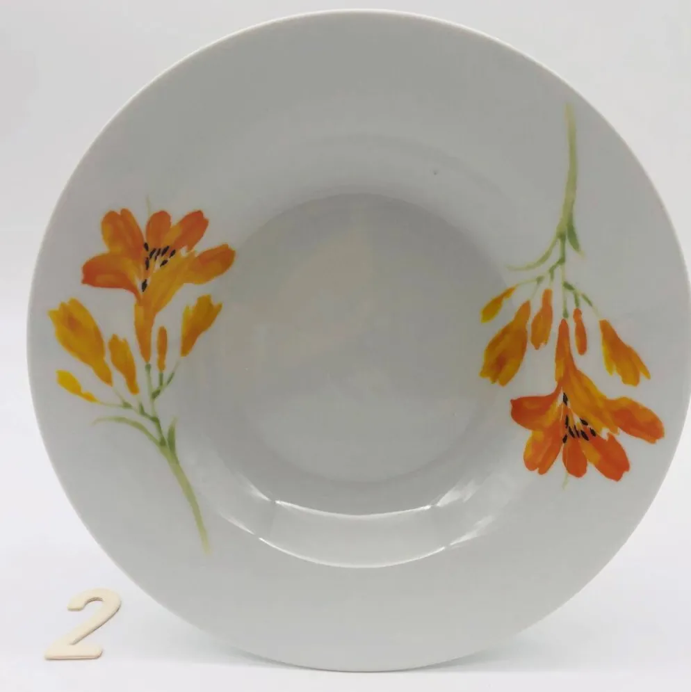 6 assiettes creuses en porcelaine « chriss g. collection »