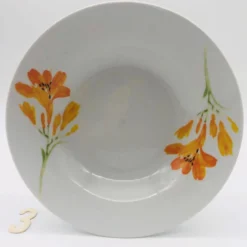 6 assiettes creuses en porcelaine « chriss g. collection »